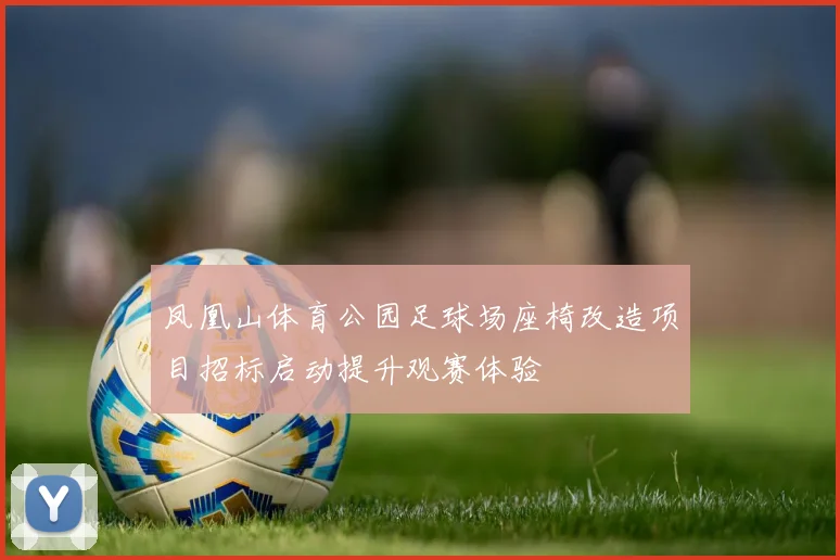 凤凰山体育公园足球场座椅改造项目招标启动提升观赛体验
