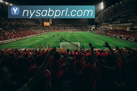 登录器